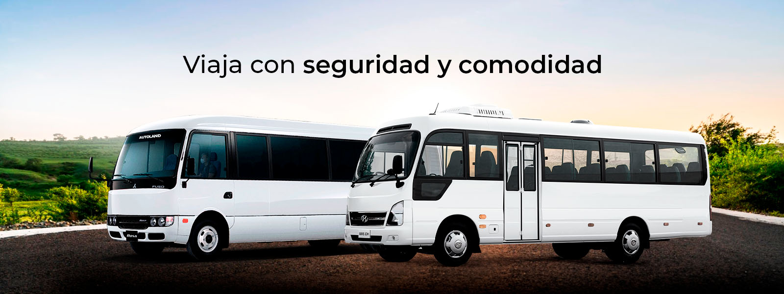 banner-bus-tipo-autoland